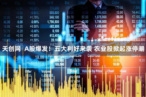 天创网  A股爆发！五大利好来袭 农业股掀起涨停潮