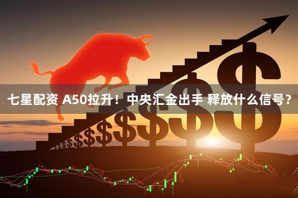 七星配资 A50拉升！中央汇金出手 释放什么信号？