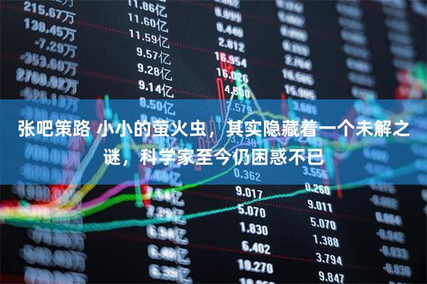 张吧策路 小小的萤火虫，其实隐藏着一个未解之谜，科学家至今仍困惑不已