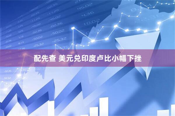 配先查 美元兑印度卢比小幅下挫