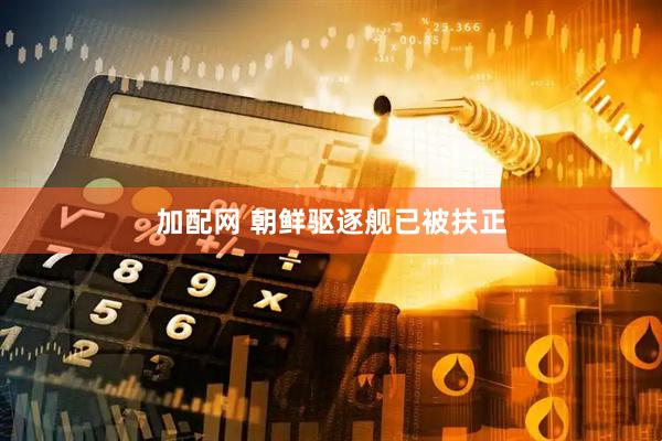 加配网 朝鲜驱逐舰已被扶正
