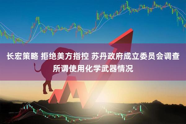 长宏策略 拒绝美方指控 苏丹政府成立委员会调查所谓使用化学武器情况