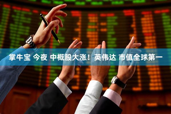 掌牛宝 今夜 中概股大涨！英伟达 市值全球第一