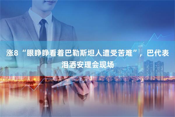 涨8 “眼睁睁看着巴勒斯坦人遭受苦难”，巴代表泪洒安理会现场