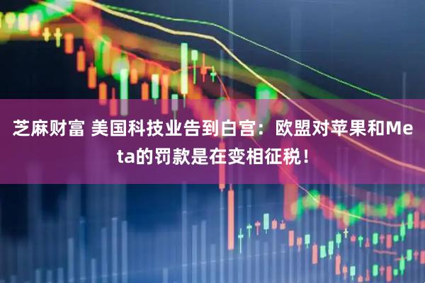 芝麻财富 美国科技业告到白宫：欧盟对苹果和Meta的罚款是在变相征税！