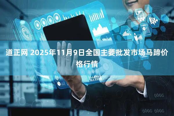 道正网 2025年11月9日全国主要批发市场马蹄价格行情
